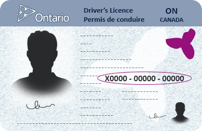 Image - Driver\'s licence number